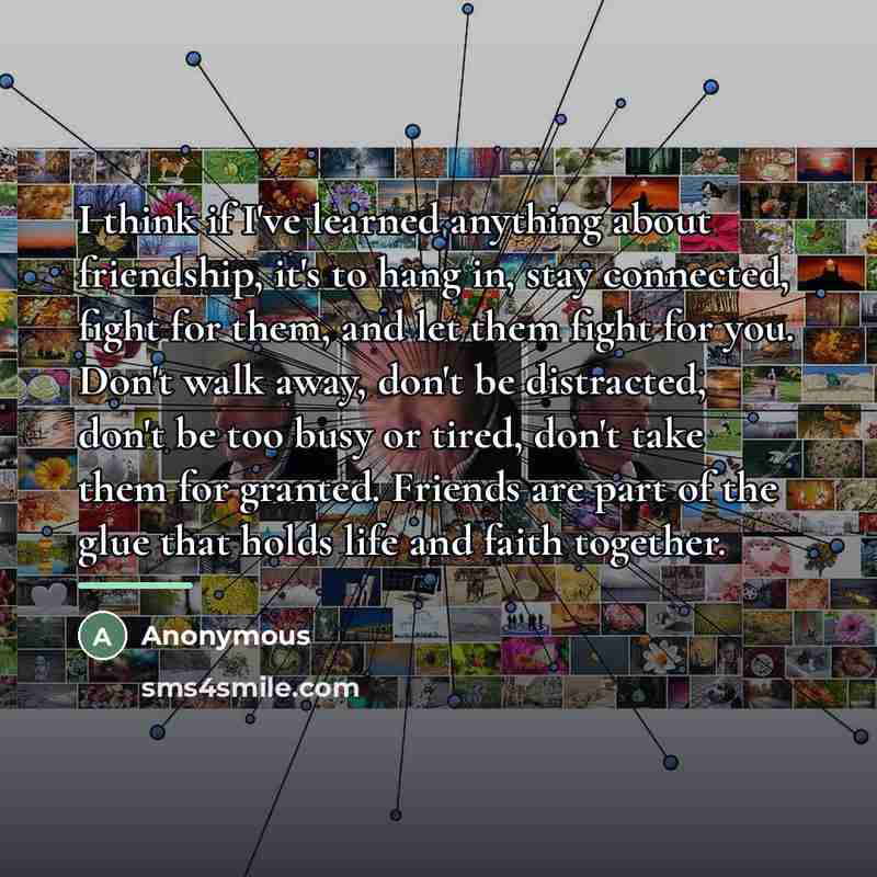 “I think if I've learned anything about friendship, it's to…” quote by Anonymous