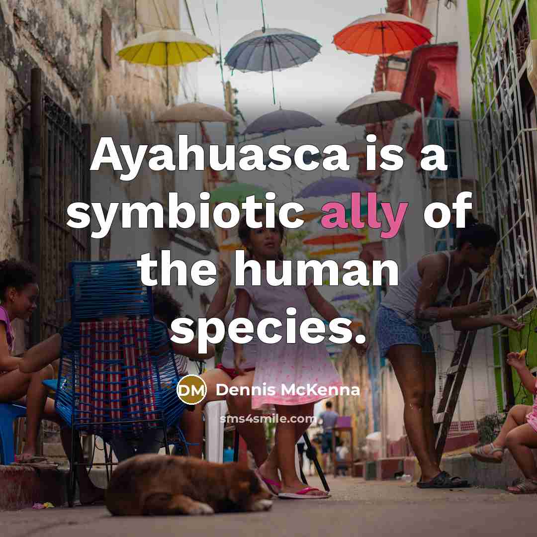 “Ayahuasca is a symbiotic ally of the human species.…” quote by Dennis McKenna