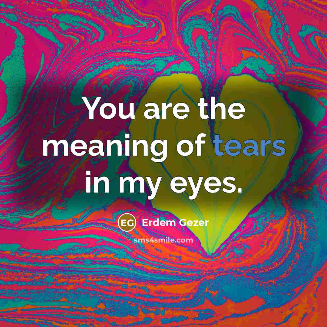 “You are the meaning of tears in my eyes.…” quote by Erdem Gezer