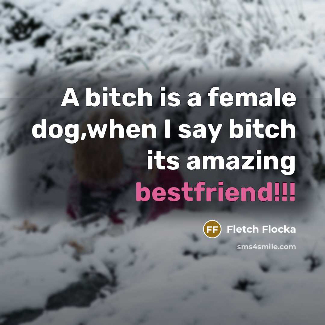 “A bitch is a female dog,when I say bitch its amazing bestfriend!!!” quote by Fletch Flocka
