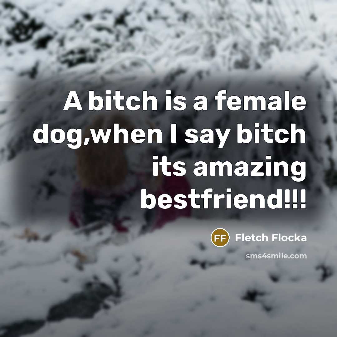 “A bitch is a female dog,when I say bitch its…” quote by Fletch Flocka