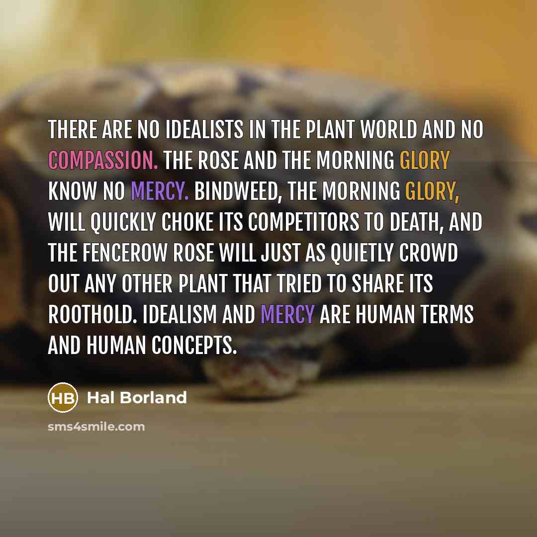 “There are no idealists in the plant world and no…” quote by Hal Borland