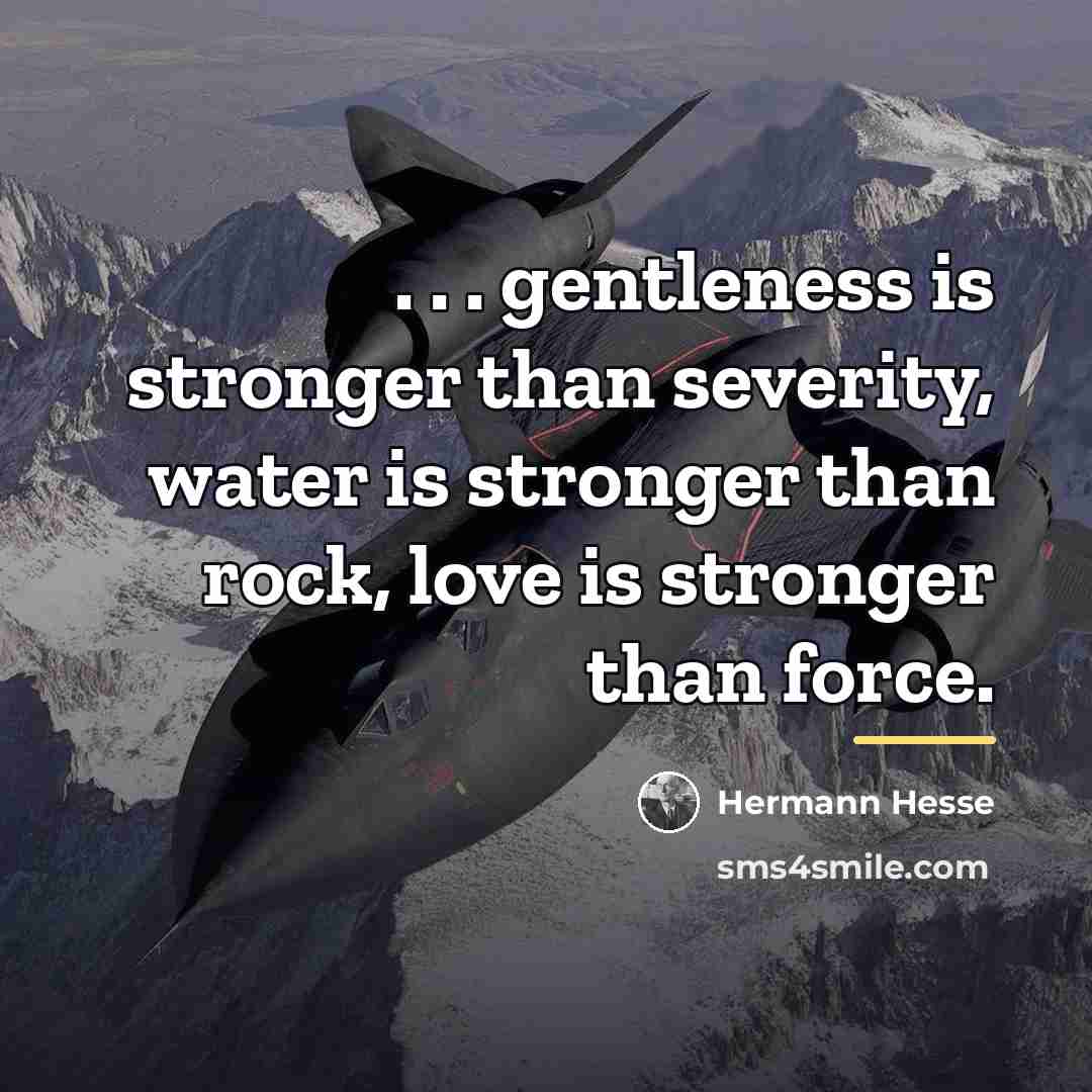 “. . . gentleness is stronger than severity, water is…” quote by Hermann Hesse