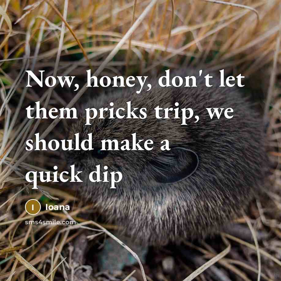 “Now, honey, don't let them pricks trip, we should make…” quote by Ioana