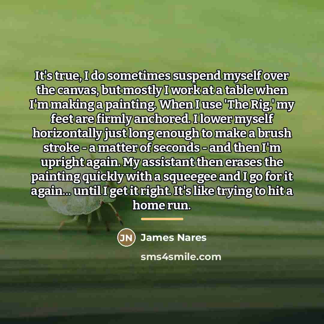 “It's true, I do sometimes suspend myself over the canvas,…” quote by James Nares