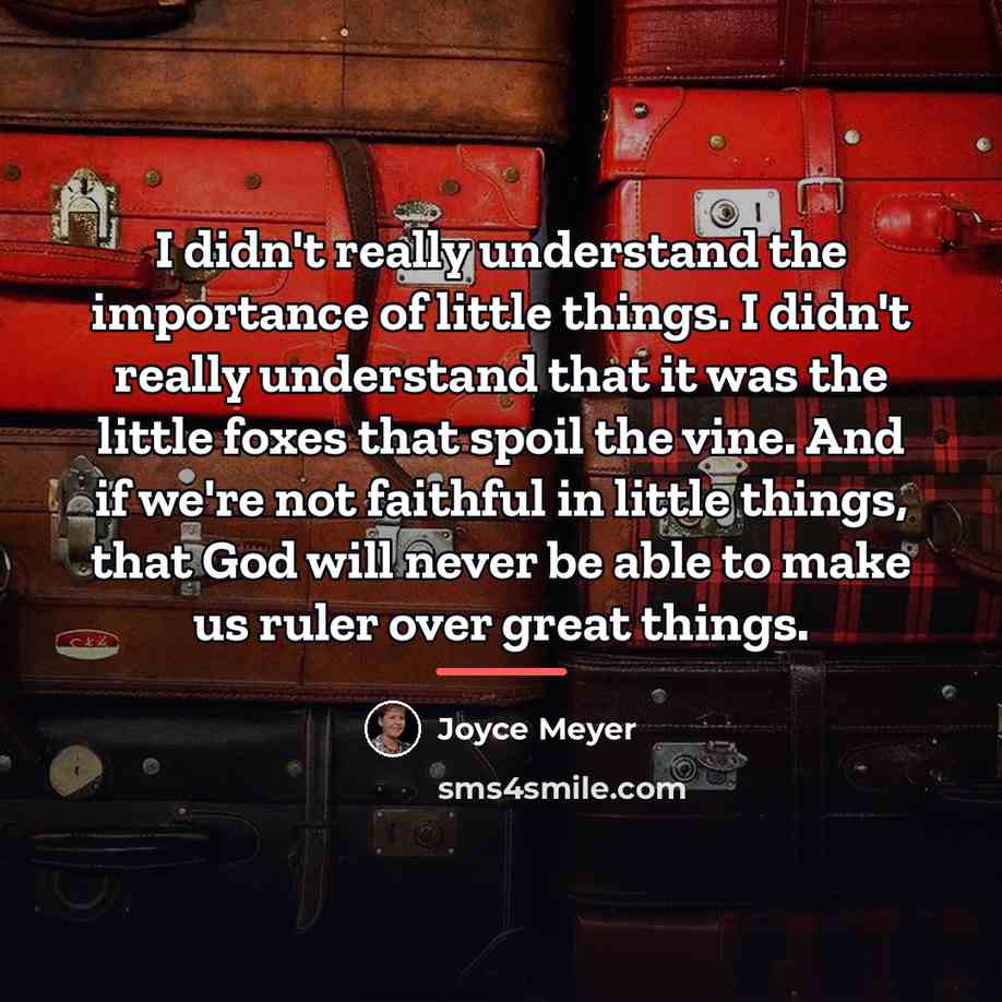 “I didn't really understand the importance of little things. I…” quote by Joyce Meyer