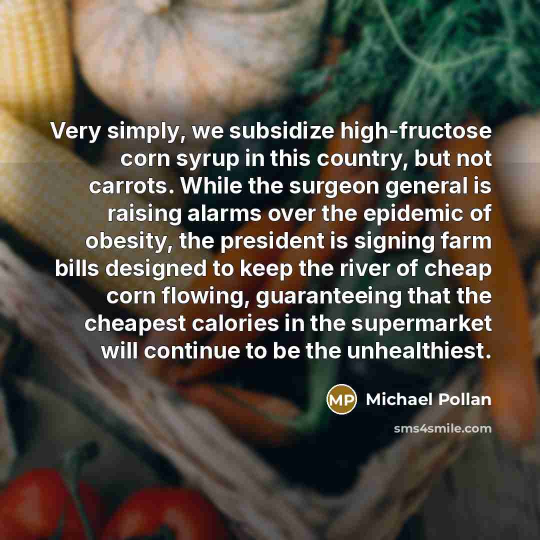 “Very simply, we subsidize high-fructose corn syrup in this country,…” quote by Michael Pollan