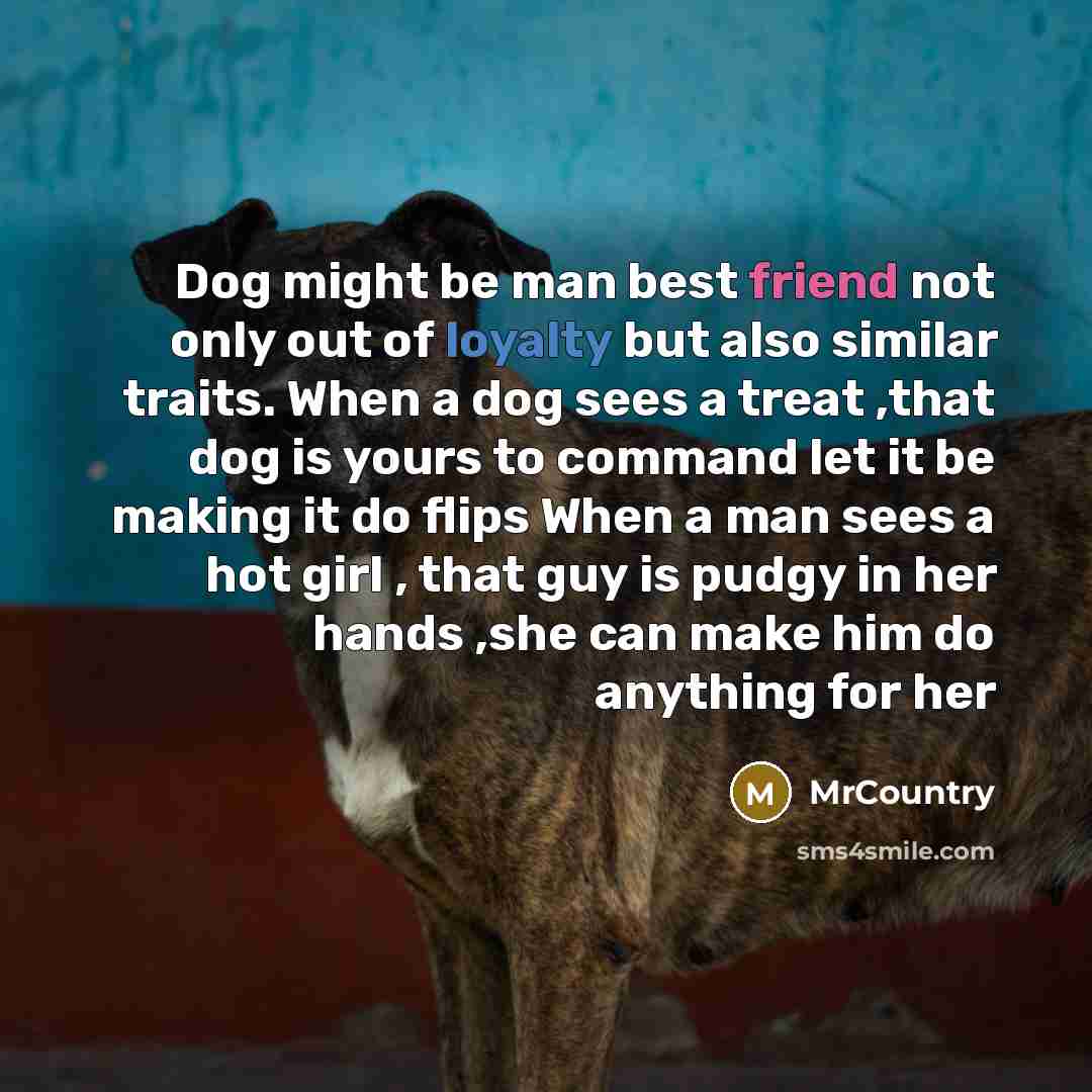 “Dog might be man best friend not only out of…” quote by MrCountry