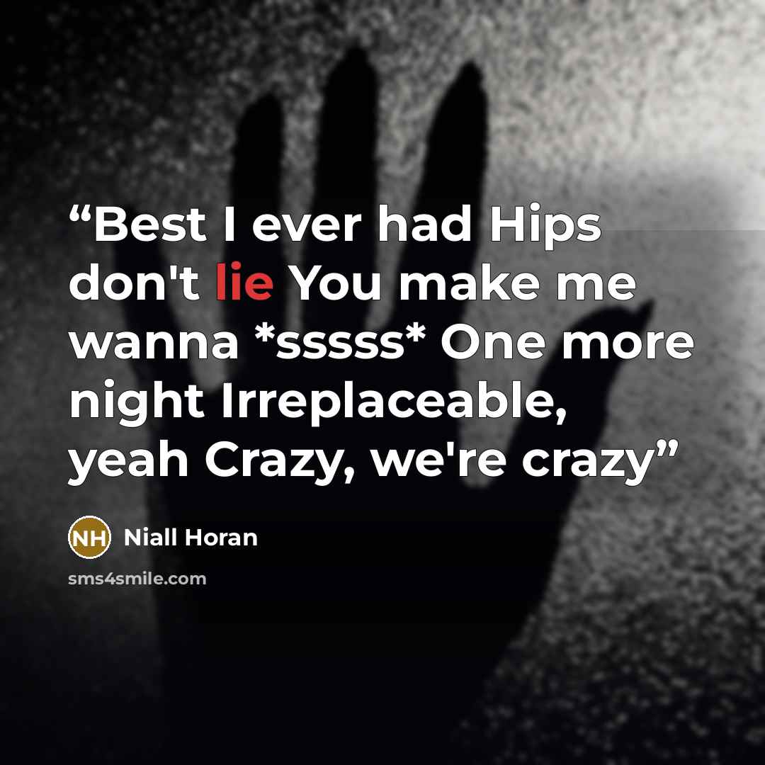 “Best I ever had Hips don't lie You make me wanna *sssss* One more night Irreplaceable, yeah Crazy, we're crazy” quote by Niall Horan