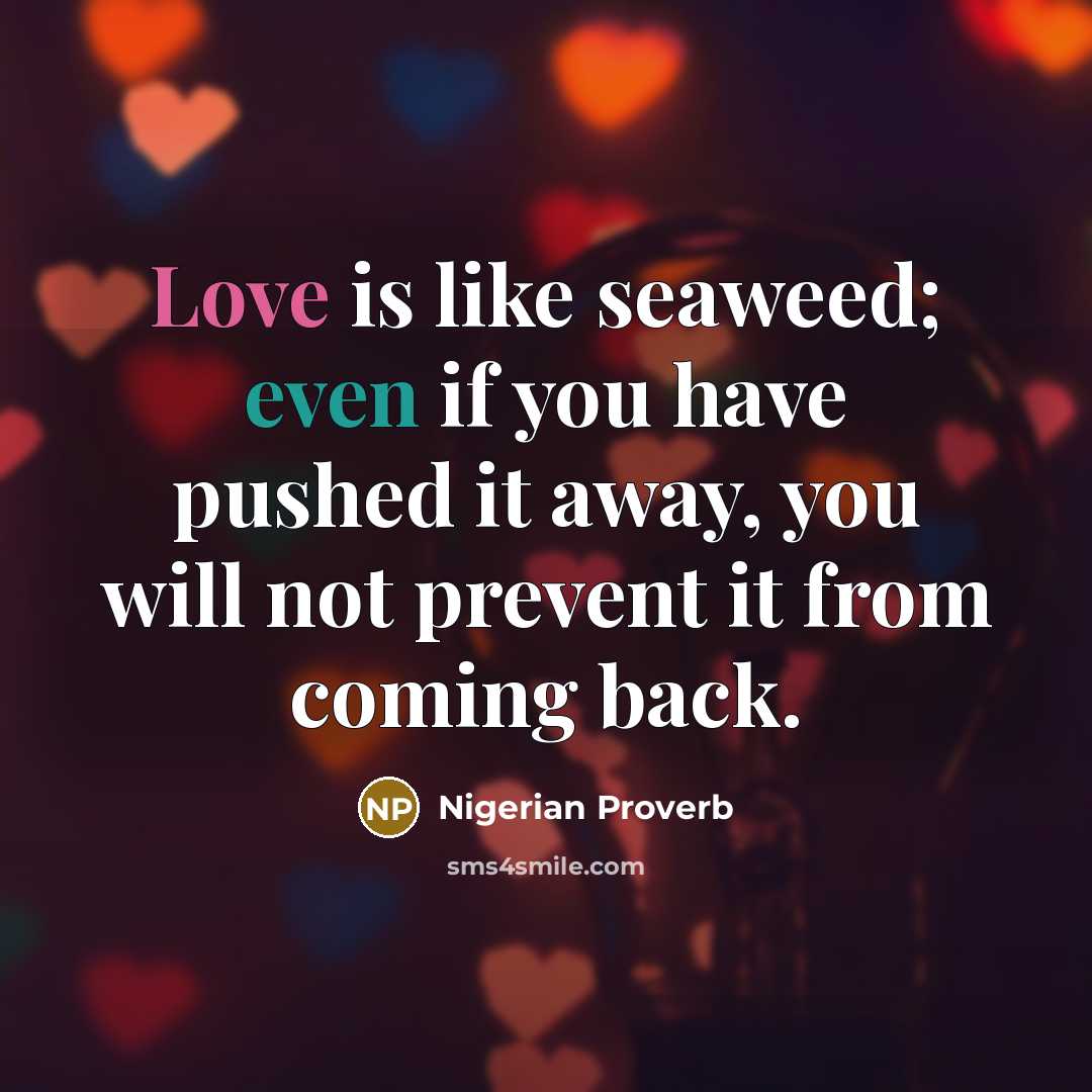 “Love is like seaweed; even if you have pushed it…” quote by Nigerian Proverb