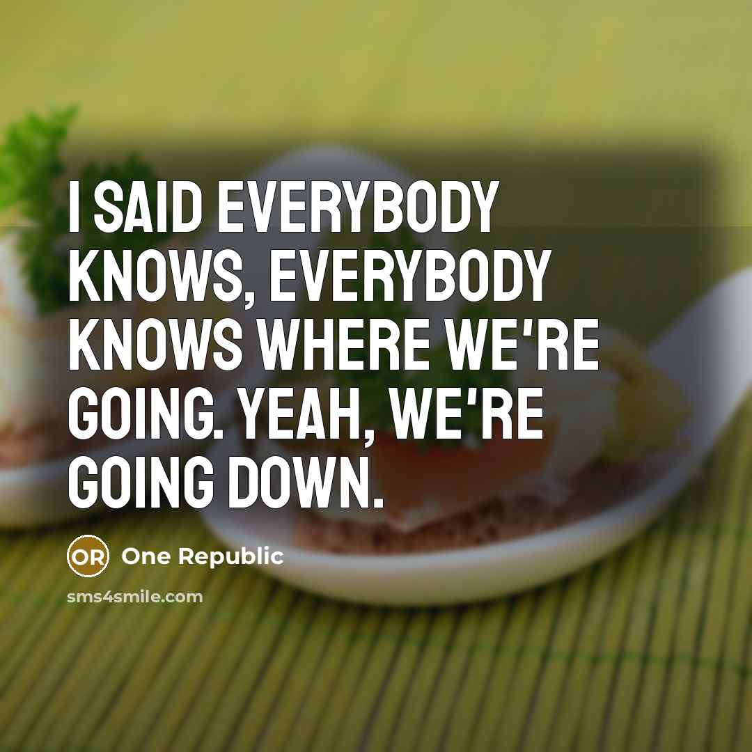 “I said everybody knows, everybody knows where we're going. Yeah, we're going down.” quote by One Republic