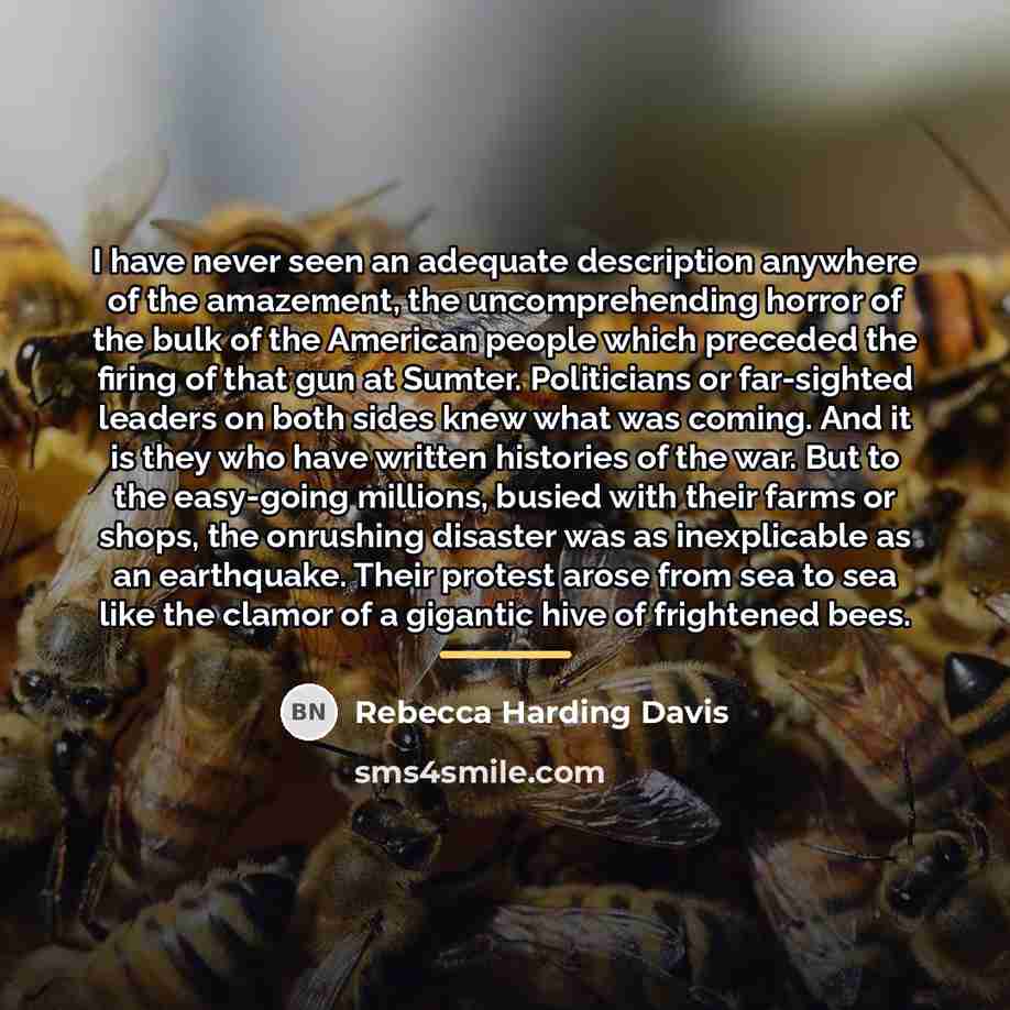 “I have never seen an adequate description anywhere of the…” quote by Rebecca Harding Davis