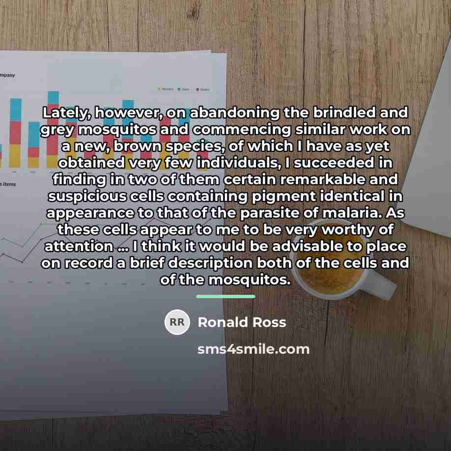 “Lately, however, on abandoning the brindled and grey mosquitos and…” quote by Ronald Ross