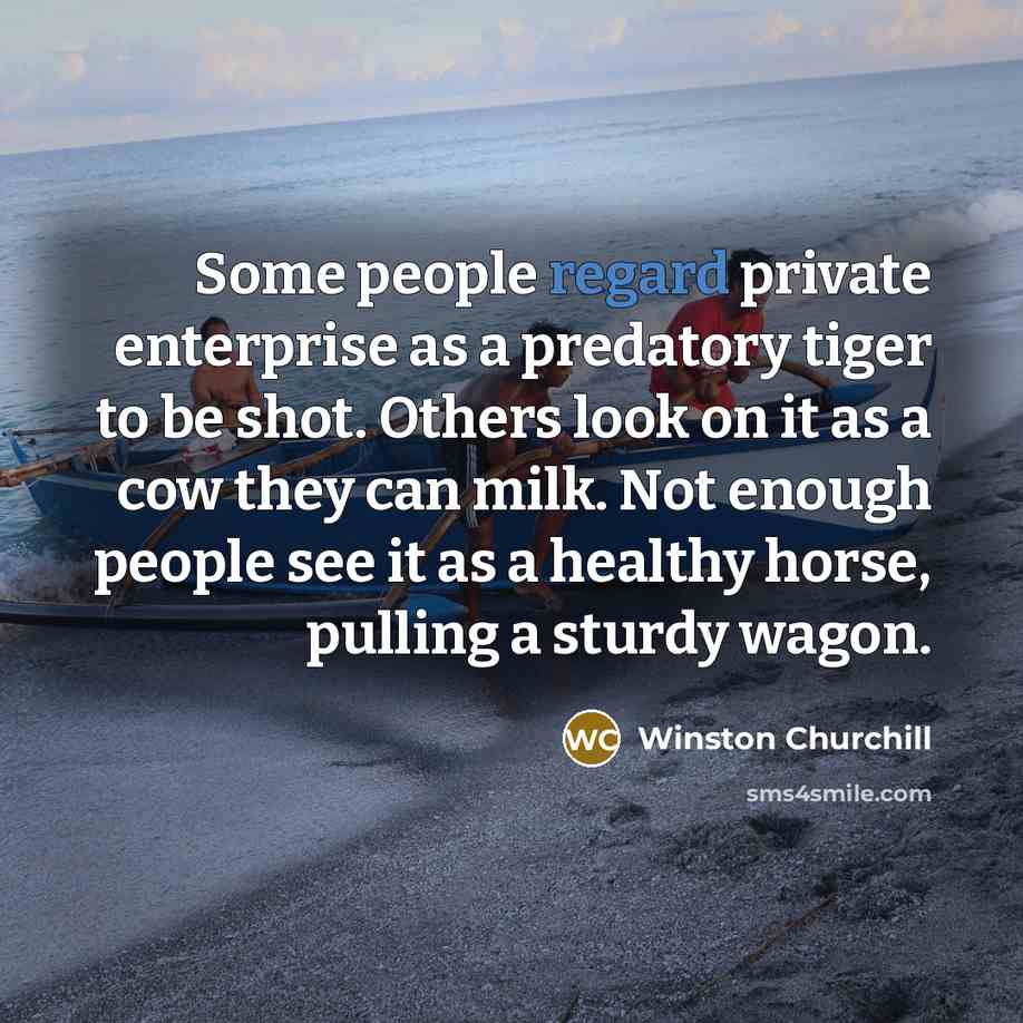 “Some people regard private enterprise as a predatory tiger to…” quote by Winston Churchill