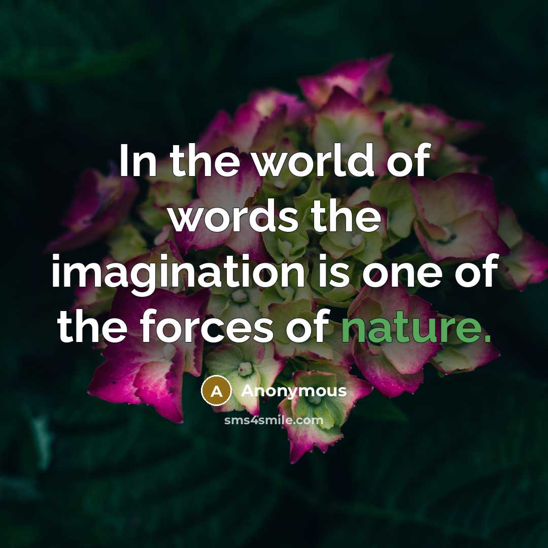 “In the world of words the imagination is one of…” quote by Anonymous