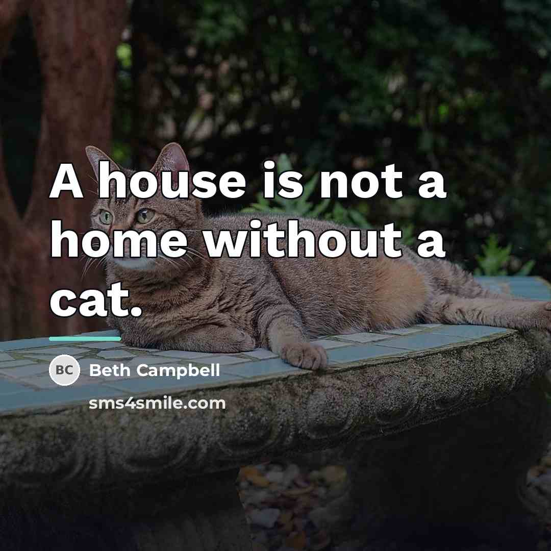 “A house is not a home without a cat.…” quote by Beth Campbell