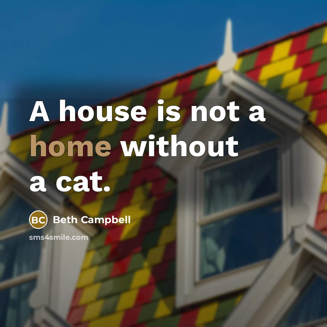 “A house is not a home without a cat.” quote by Beth Campbell