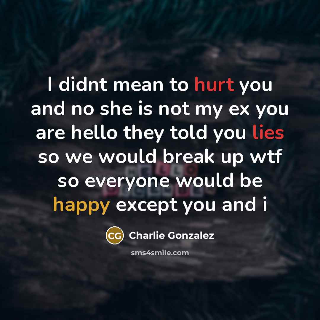 “I didnt mean to hurt you and no she is not my ex you are hello they told you lies so we would break up wtf so everyone would be happy except you and i” quote by Charlie Gonzalez