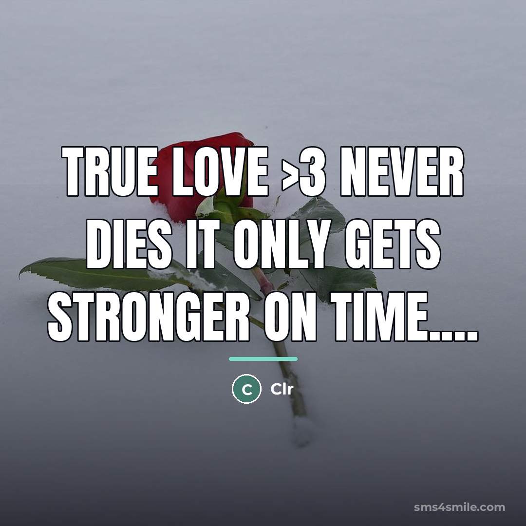 “True love >3 never dies it only gets stronger on…” quote by Clr