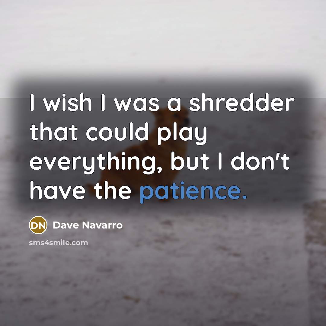 “I wish I was a shredder that could play everything,…” quote by Dave Navarro