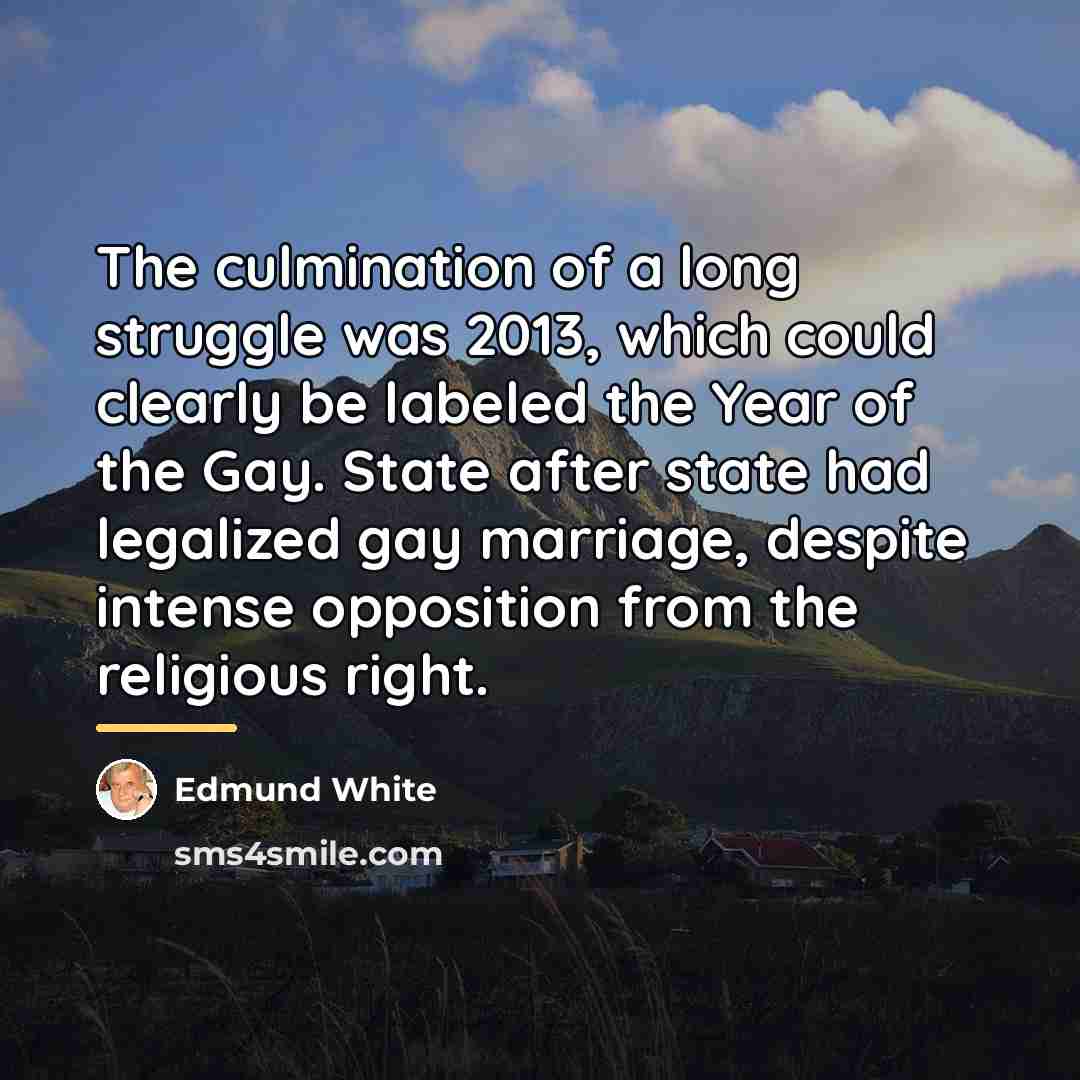 “The culmination of a long struggle was 2013, which could…” quote by Edmund White