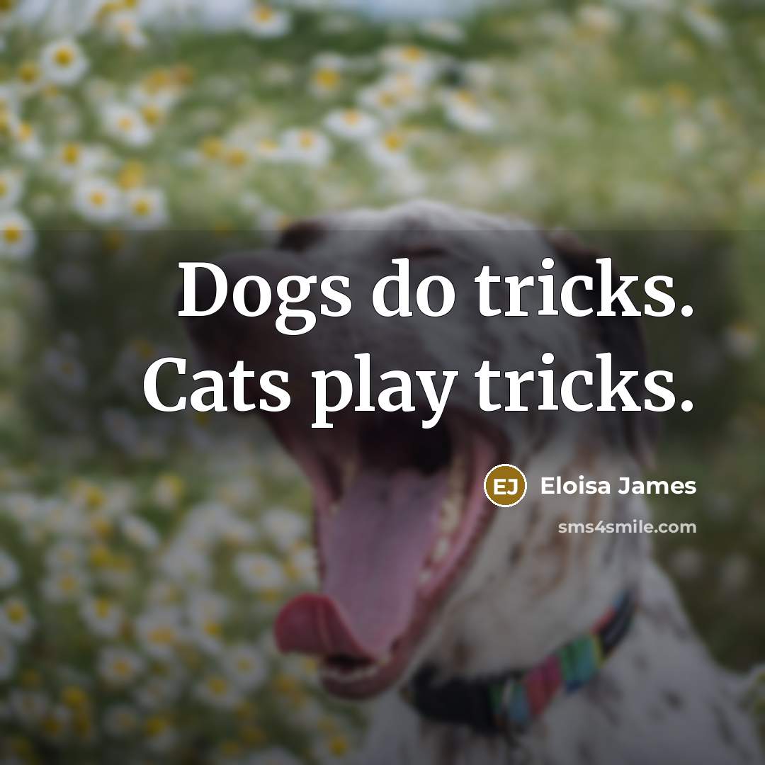 “Dogs do tricks. Cats play tricks.…” quote by Eloisa James