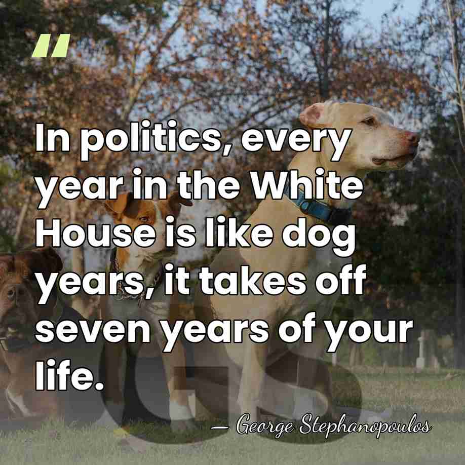 In politics, every year in the White House is like dog years,&hellip; - George Stephanopoulos