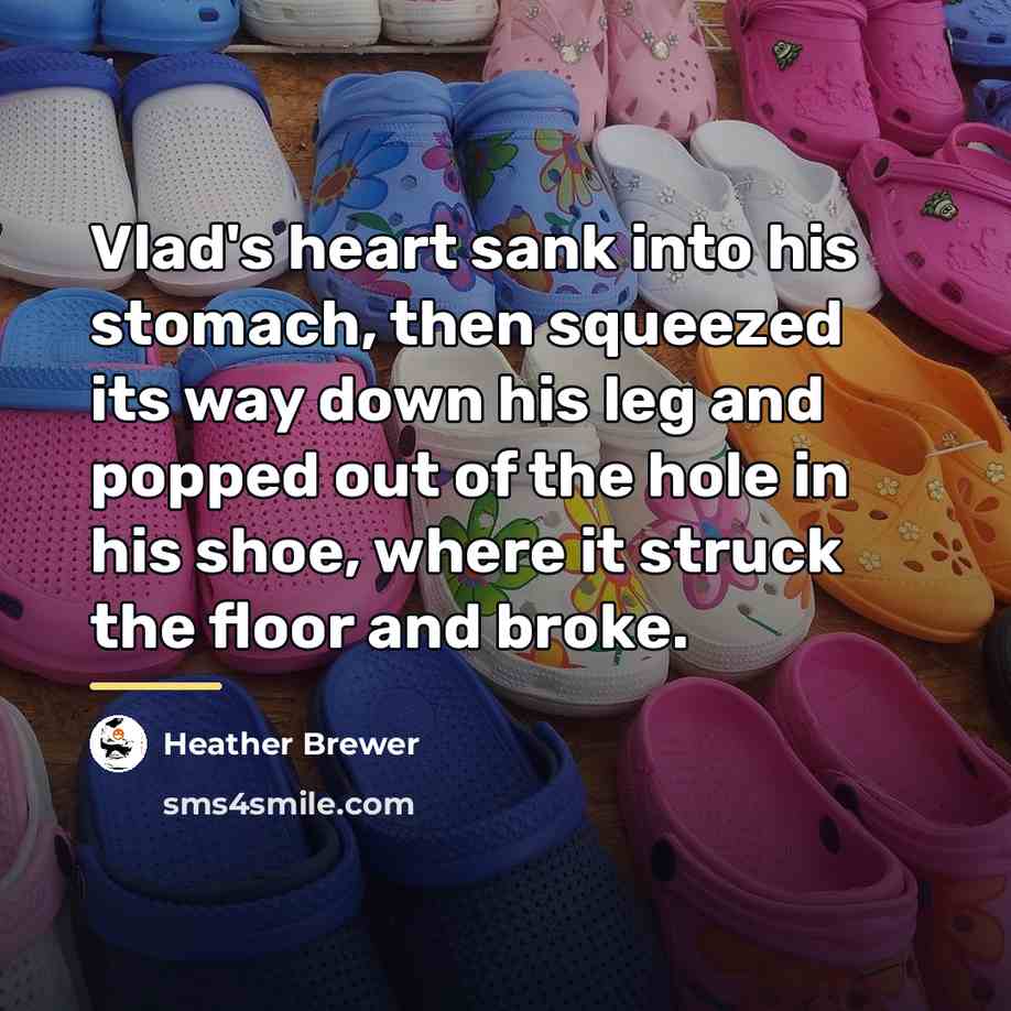“Vlad's heart sank into his stomach, then squeezed its way…” quote by Heather Brewer