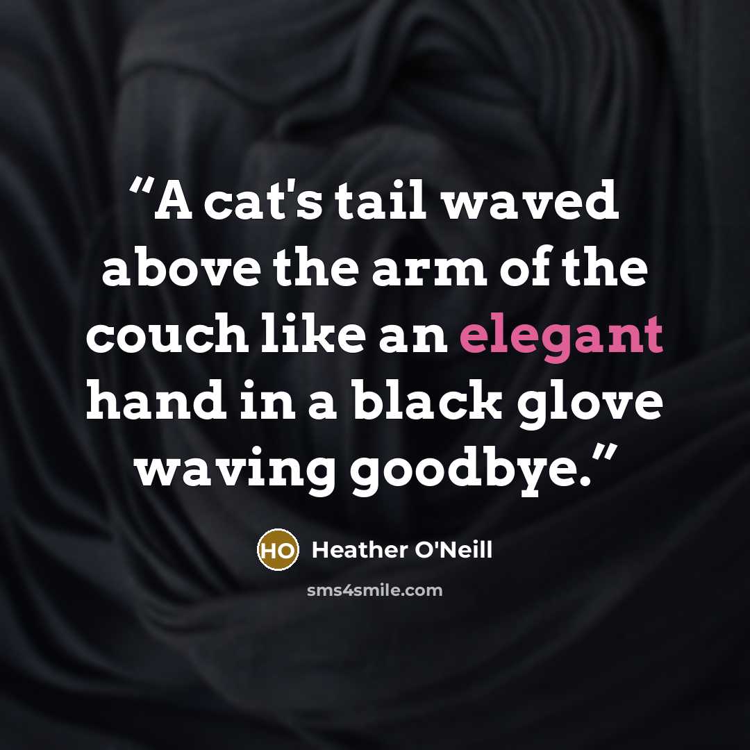 “A cat's tail waved above the arm of the couch like an elegant hand in a black glove waving goodbye.” quote by Heather O'Neill
