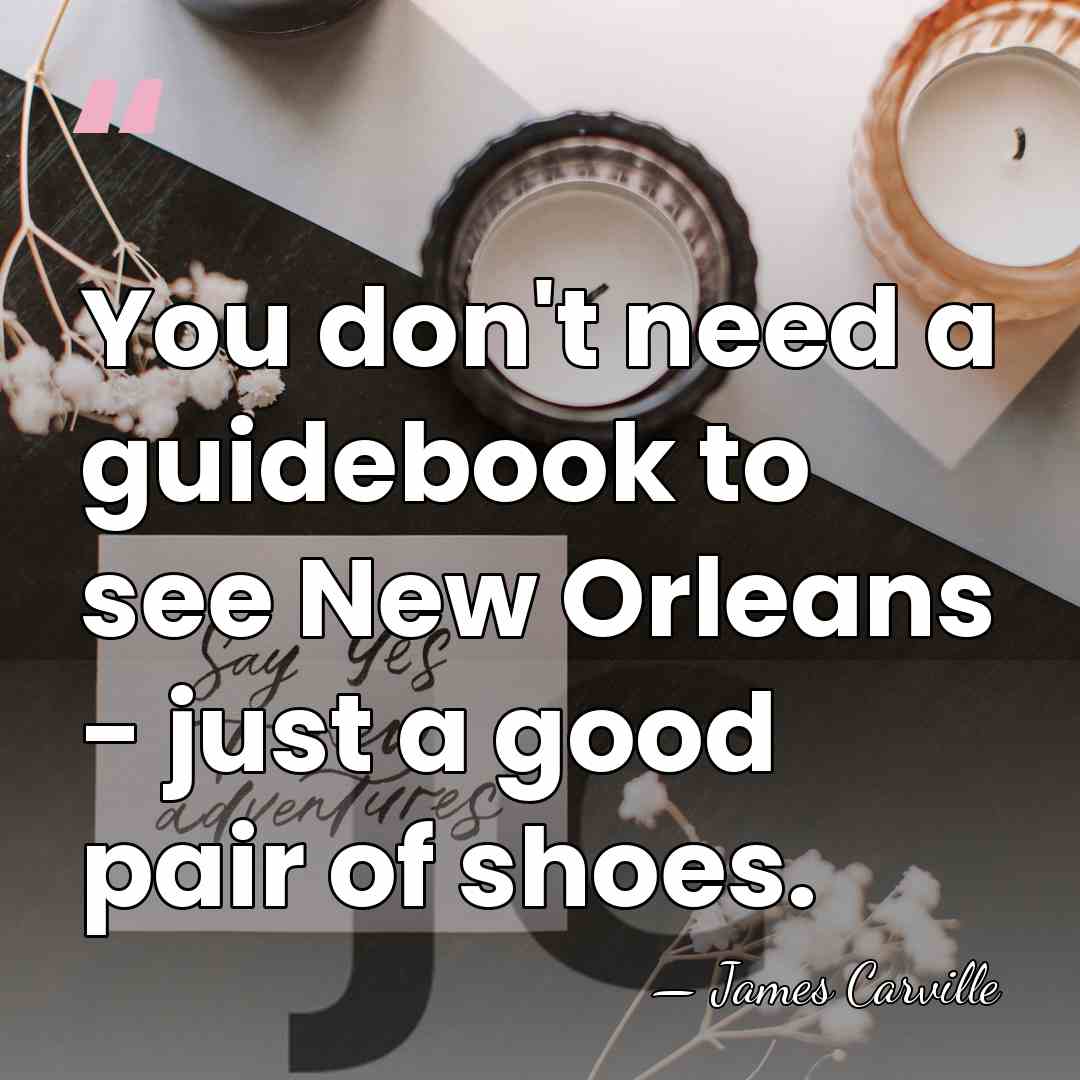 You don't need a guidebook to see New Orleans - just a&hellip; - James Carville