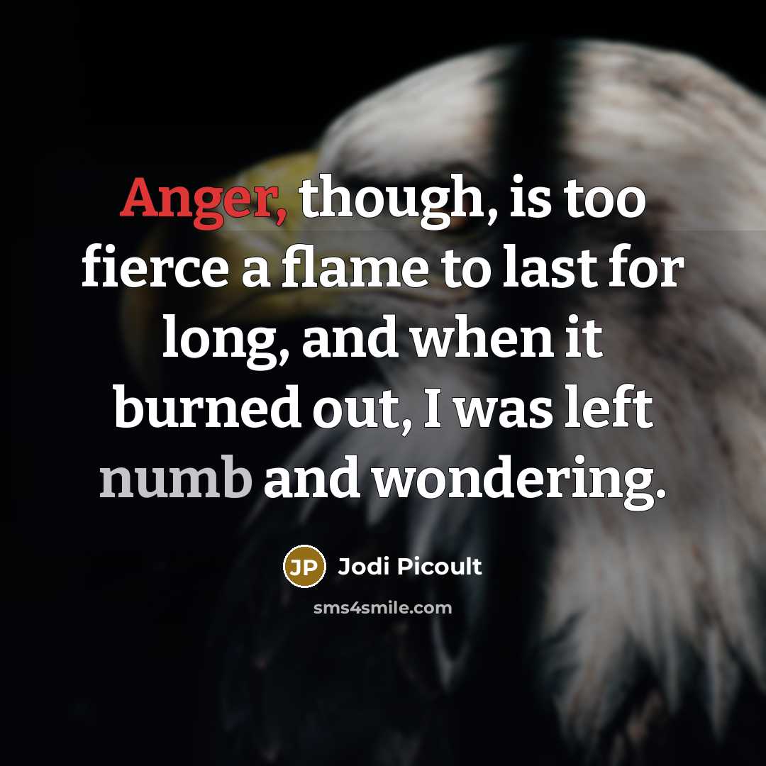 “Anger, though, is too fierce a flame to last for…” quote by Jodi Picoult