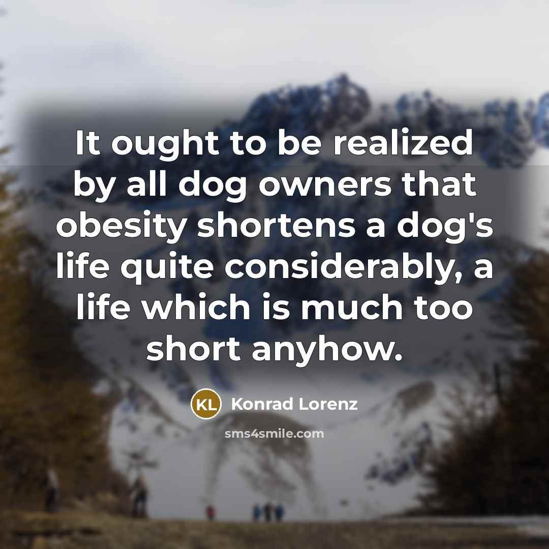 “It ought to be realized by all dog owners that…” quote by Konrad Lorenz