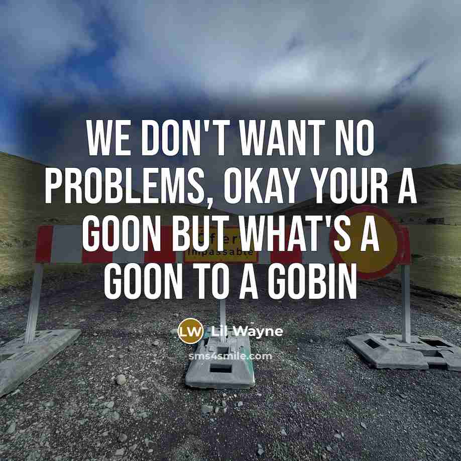 “We don't want no problems, okay your a goon but…” quote by Lil Wayne