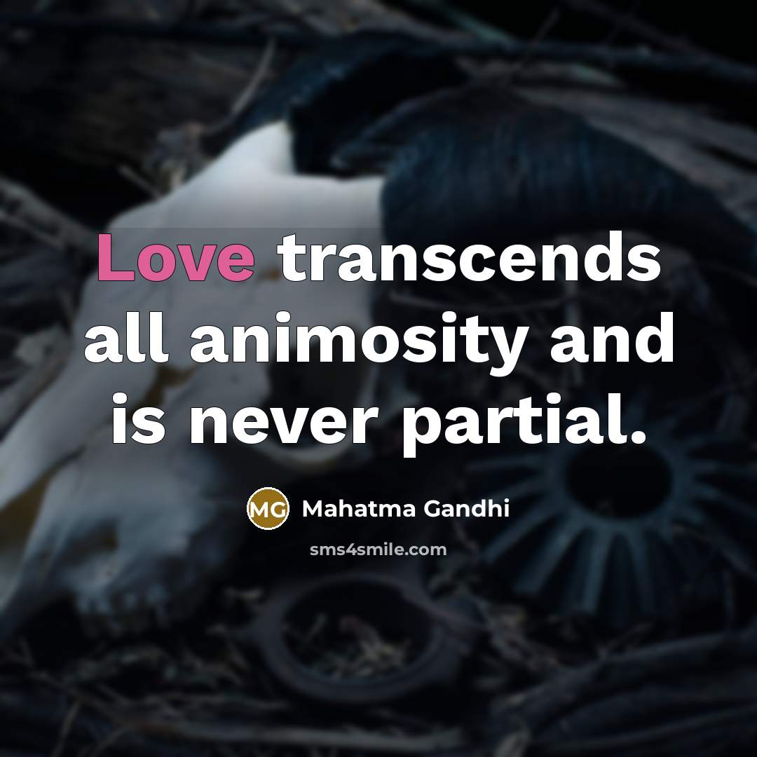 “Love transcends all animosity and is never partial.…” quote by Mahatma Gandhi