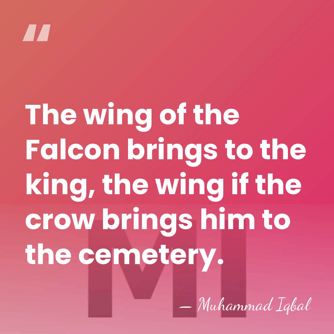 The wing of the Falcon brings to the king, the wing if&hellip; - Muhammad Iqbal
