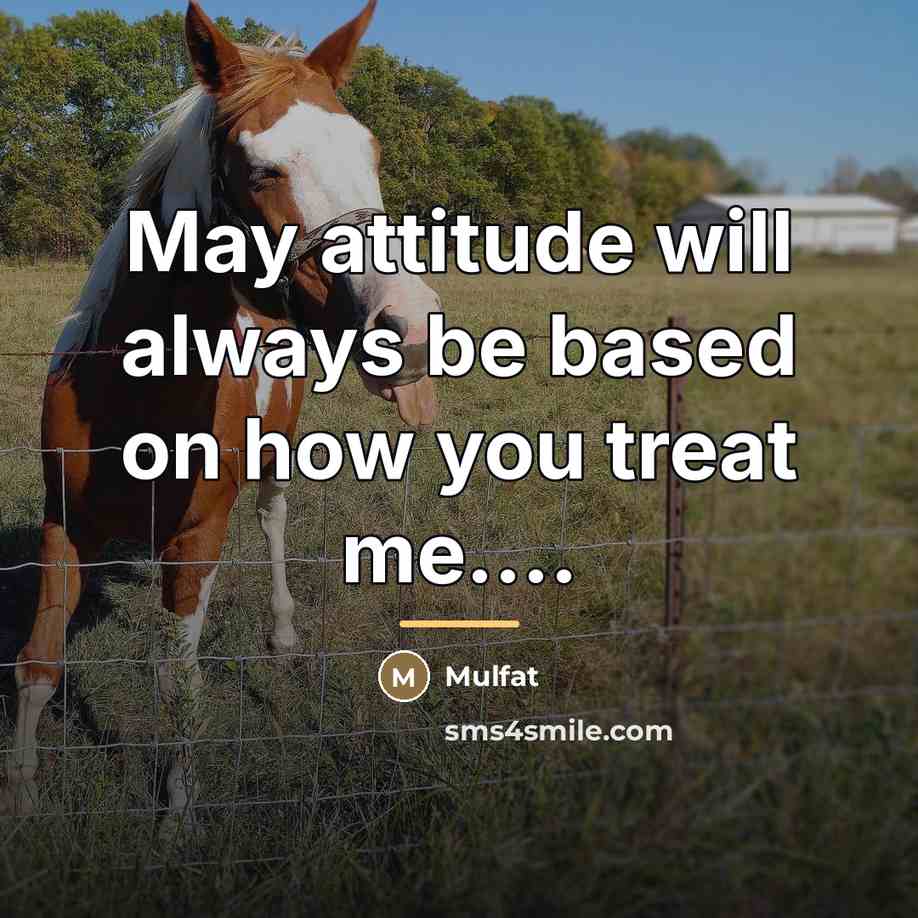 “May attitude will always be based on how you treat…” quote by Mulfat