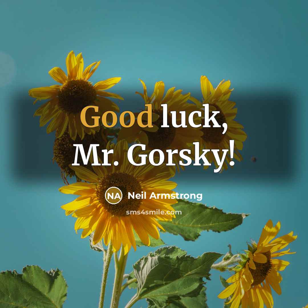 “Good luck, Mr. Gorsky!” quote by Neil Armstrong