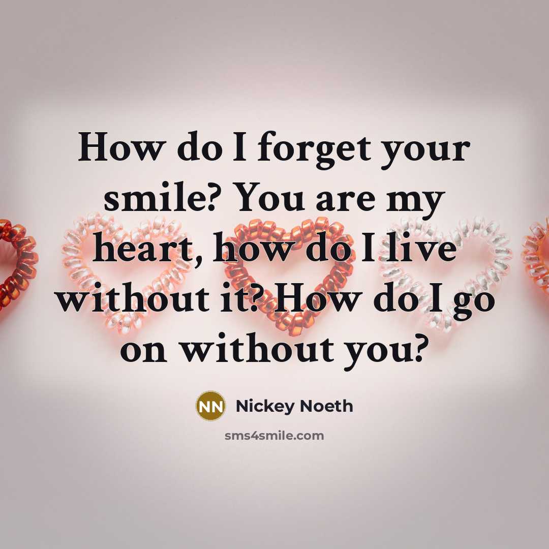 “How do I forget your smile? You are my heart, how do I live without it? How do I go on without you?” quote by Nickey Noeth