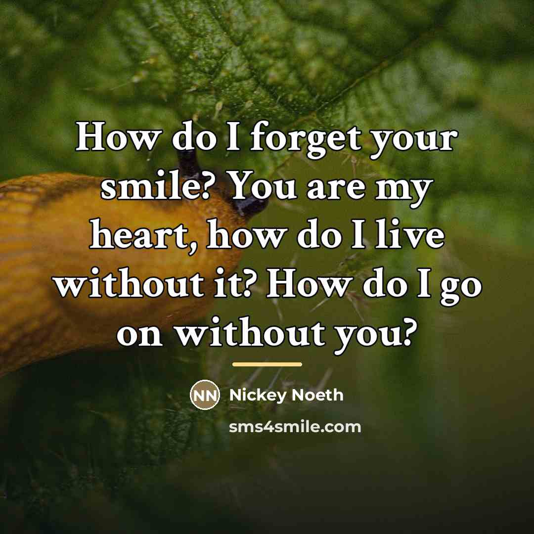 “How do I forget your smile? You are my heart,…” quote by Nickey Noeth