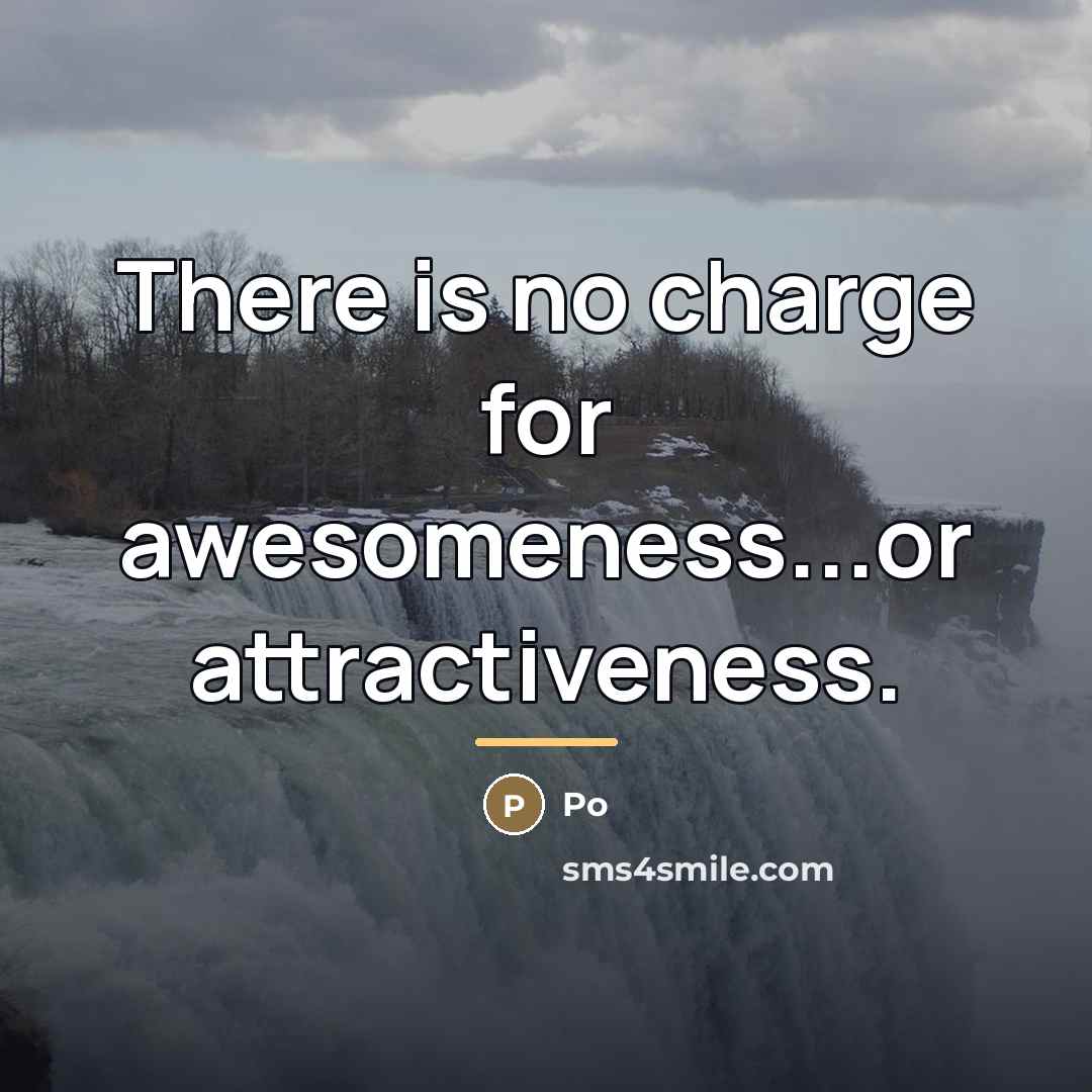 “There is no charge for awesomeness...or attractiveness.…” quote by Po