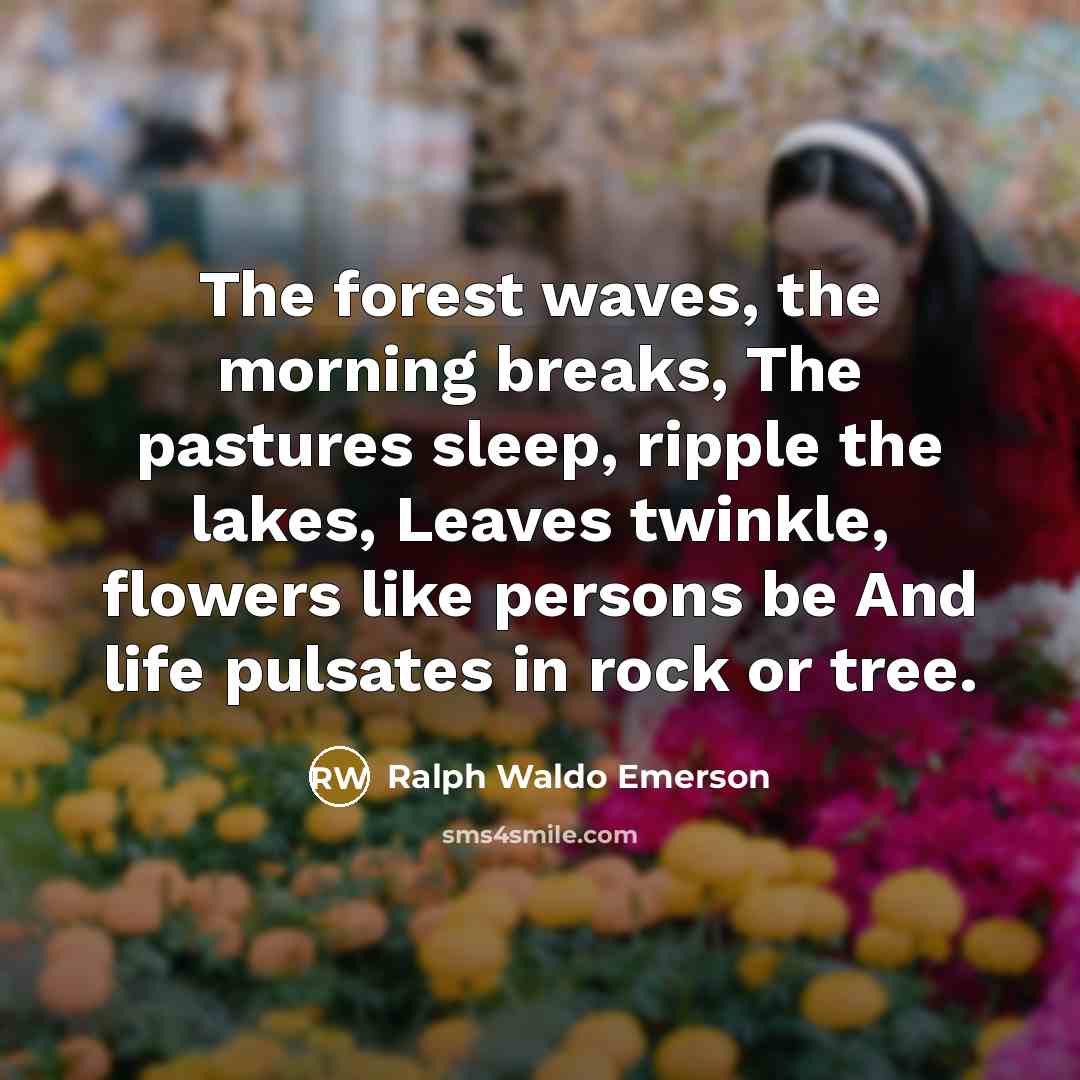“The forest waves, the morning breaks, The pastures sleep, ripple…” quote by Ralph Waldo Emerson