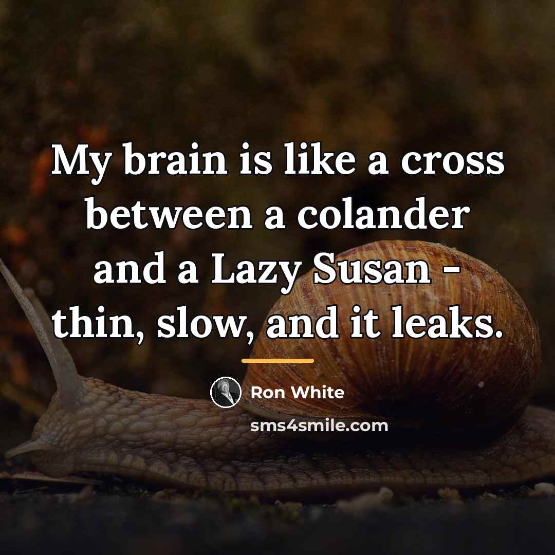 “My brain is like a cross between a colander and…” quote by Ron White