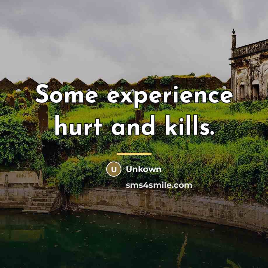 “Some experience hurt and kills.…” quote by Unkown