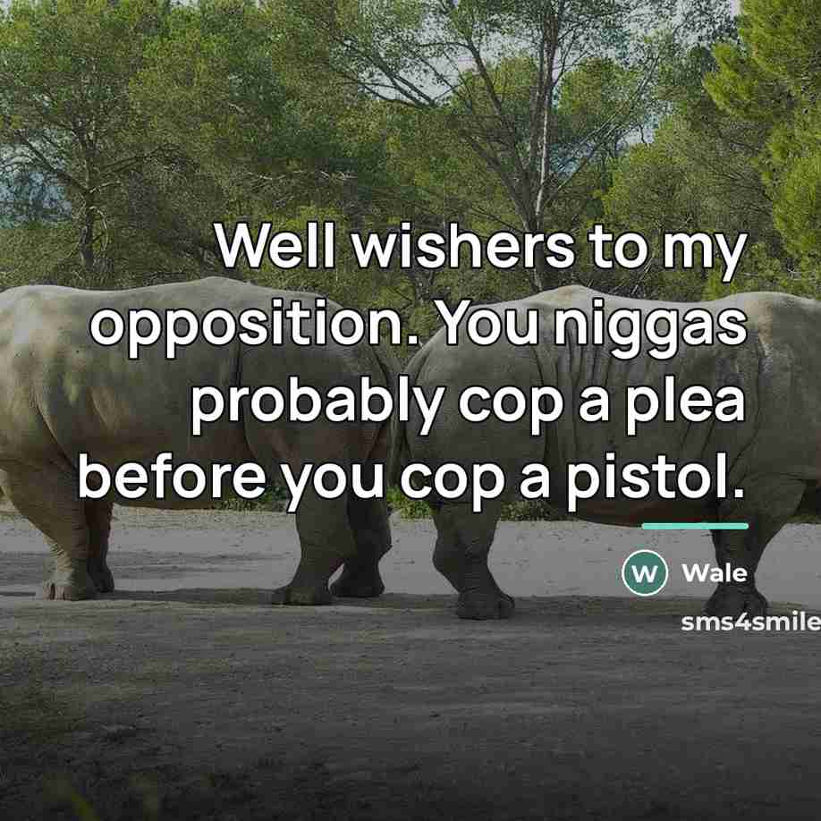 “Well wishers to my opposition. You niggas probably cop a…” quote by Wale