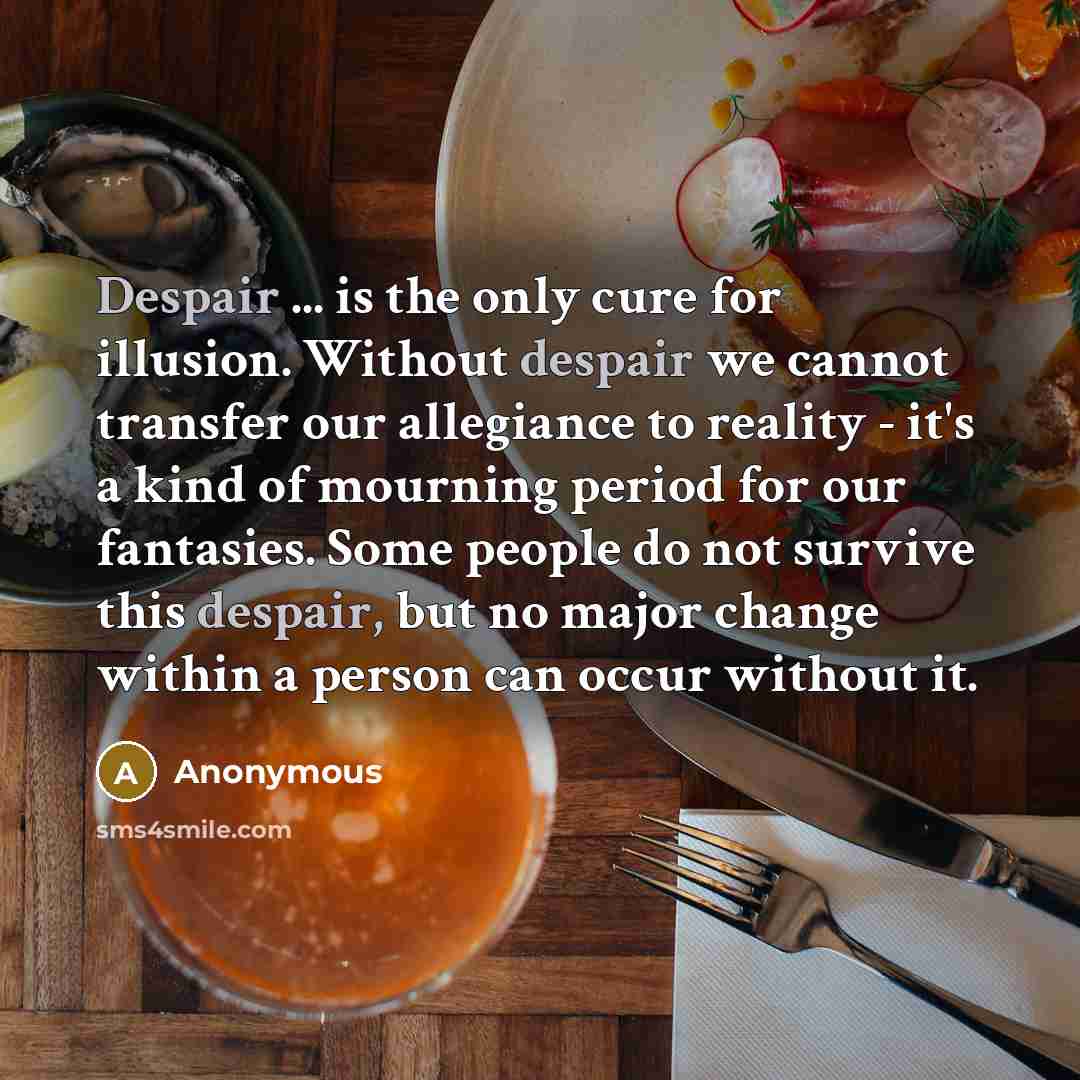 “Despair ... is the only cure for illusion. Without despair…” quote by Anonymous