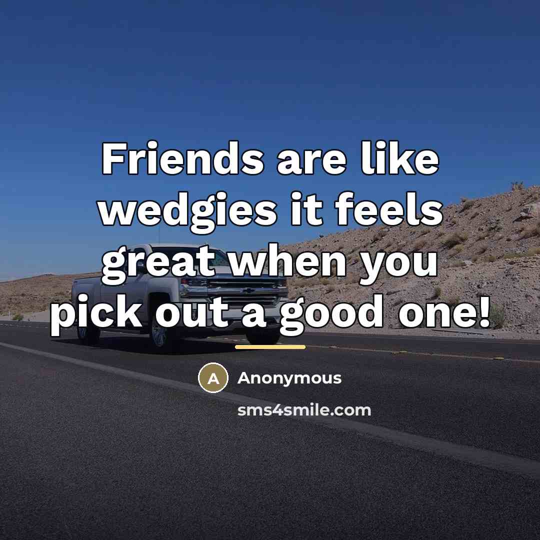 “Friends are like wedgies it feels great when you pick out a good one!” quote by Anonymous