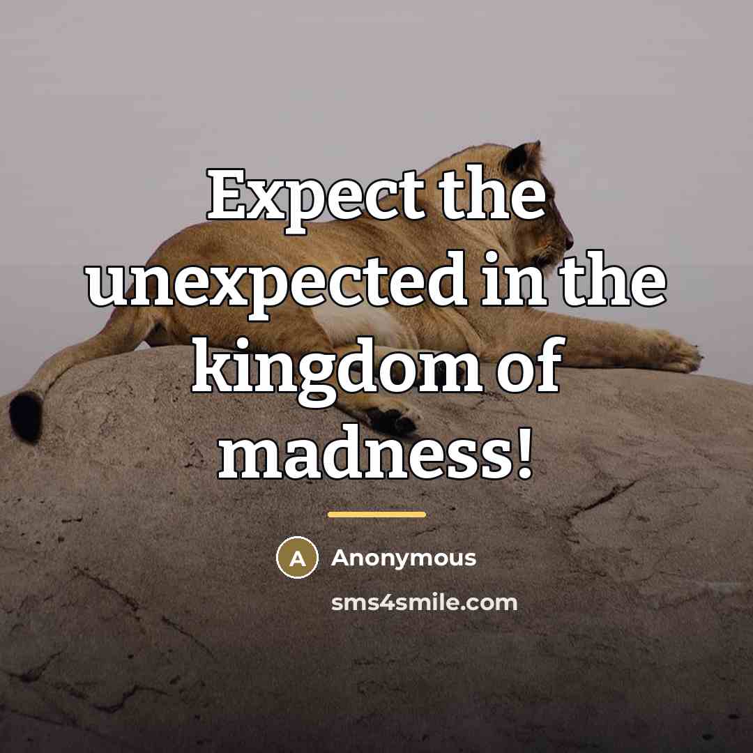 “Expect the unexpected in the kingdom of madness!…” quote by Anonymous
