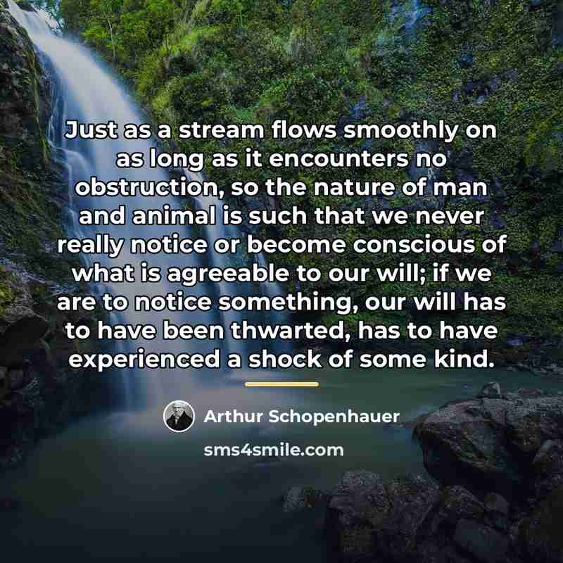 “Just as a stream flows smoothly on as long as…” quote by Arthur Schopenhauer