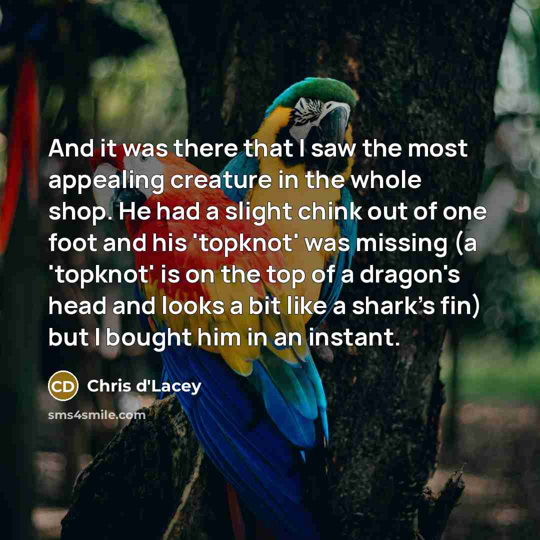“And it was there that I saw the most appealing…” quote by Chris d'Lacey