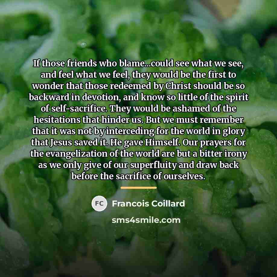 “If those friends who blame...could see what we see, and…” quote by Francois Coillard